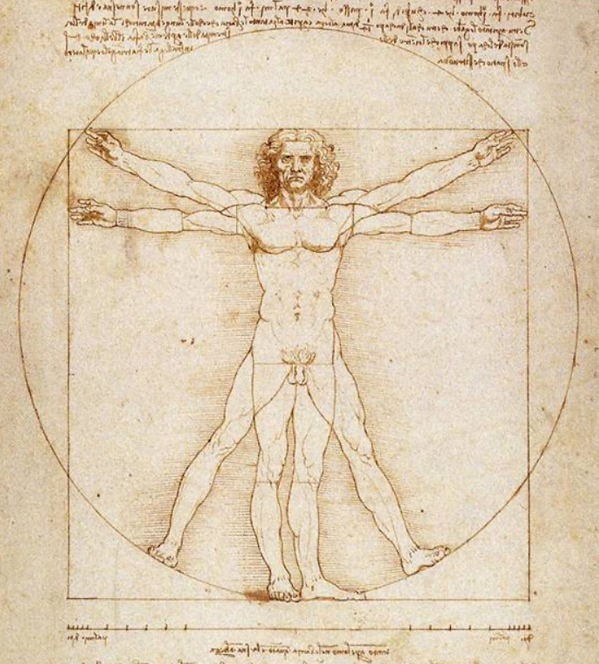 vinci-homme-vitruve
