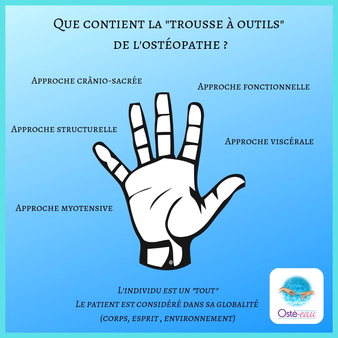 Que contient la _trousse à outils_ de l'ostéopathe - Osté-eau