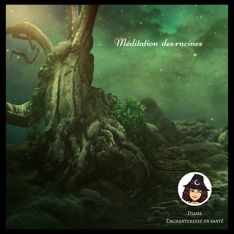 Méditation des racines - Diane Enchanteresse en Santé
